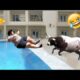 Best Fails Of The Week -  Crazy Funny Videos🔗 Link videos