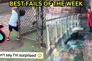 Best Fails of the Week - TRY NOT TO LAUGH!