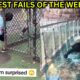 Best Fails of the Week - TRY NOT TO LAUGH!