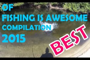 Best of Fishing Is Awesome Compilation 2015