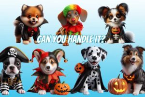 Can You Handle it? Cutest Puppies All Dressed Up For Halloween