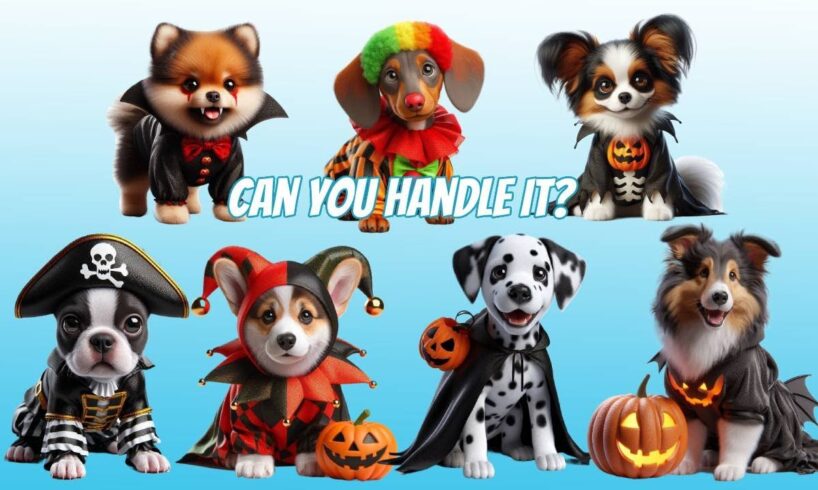 Can You Handle it? Cutest Puppies All Dressed Up For Halloween