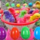 Catch Cute Chickens, Colorful Chickens, Rainbow Chicken, Rabbits, Cute Cats,Ducks,Animals Cute #64