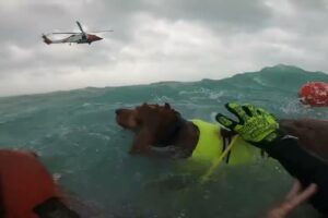 Coast Guard rescues man and dog during Hurricane Helene