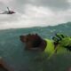 Coast Guard rescues man and dog during Hurricane Helene