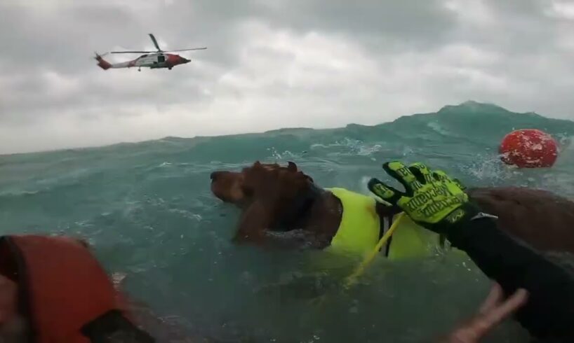 Coast Guard rescues man and dog during Hurricane Helene