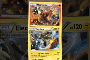 Connected FIGHTING TOURNAMENT Pokémon Cards