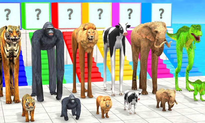 Cow Elephant Tiger Gorilla Lion 3d Animal Choose the RIGHT Animals ESCAPE ROOM CHALLENGE MYSTERY BOX