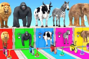 Cow Elephant Tiger Lion Gorilla Zebra Choose the RIGHT KEY Animal ESCAPE ROOM CHALLENGE MYSTERY BOX