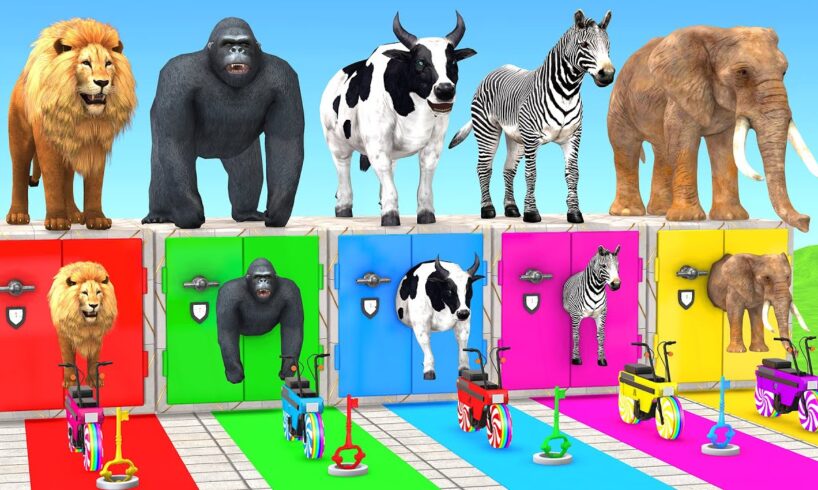 Cow Elephant Tiger Lion Gorilla Zebra Choose the RIGHT KEY Animal ESCAPE ROOM CHALLENGE MYSTERY BOX