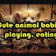 Cute Baby Animals, playing, eating