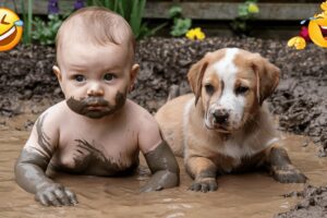 Cute Puppies Play with Baby in Mud – Funniest Messy Moments!