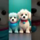 Cute puppies with Tamil song❤️❤️❤️❤️❤️