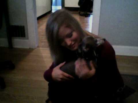 Cutest puppy ever!!!!! | iJustine