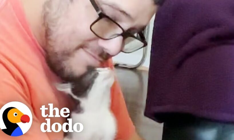 Dodo Producer Rescues Kitten | The Dodo