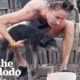 Dog Tied To Fence Her Whole Life LOVES To Run On The Beach | The Dodo