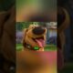 Dug & Puppies! #shorts #viral #movies