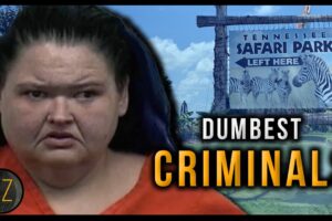 Dumbest Criminals: July-Sept 2024 (Crimes Of The Week Compilation)