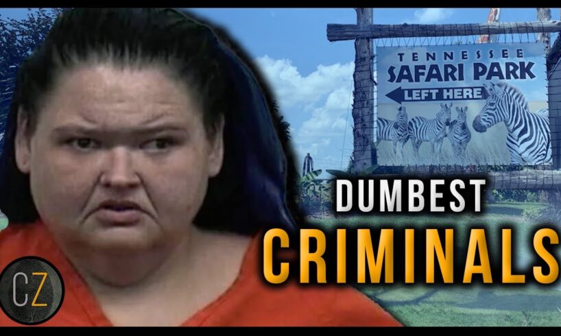 Dumbest Criminals: July-Sept 2024 (Crimes Of The Week Compilation)