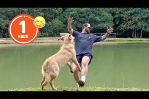 FUNNIEST Pets of 2024 😂 | BEST Compilation