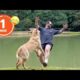 FUNNIEST Pets of 2024 😂 | BEST Compilation