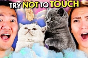 Fluffiest Things In The World! (Puppies & Kittens) - Try Not To Touch