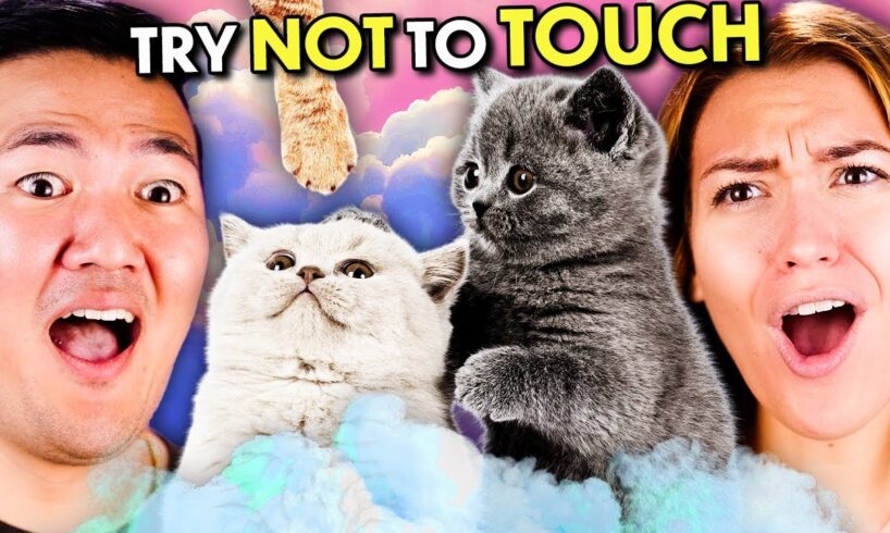 Fluffiest Things In The World! (Puppies & Kittens) - Try Not To Touch