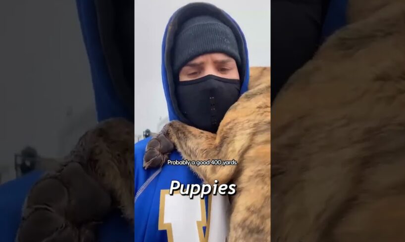 Football Star Rescues Dog Family from a Flooded Home! #shorts