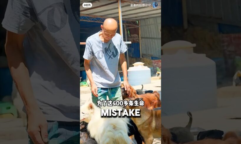 Girl Visited Man With 400 Dogs And Regretted It ❤️#doglover #dog #dogshorts