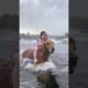 Hero Dog Rescues Child: Emotional Reunion , MIRACLE RESCUE! Dog Saves Little Girl from Danger