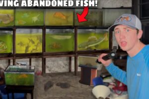 I Saved Fish From an ABANDONED House!