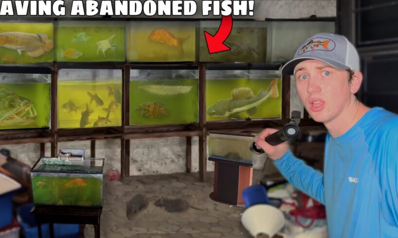 I Saved Fish From an ABANDONED House!