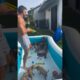 I threw a PUPPY POOL PARTY! #goldendoodle #puppies #poolparty