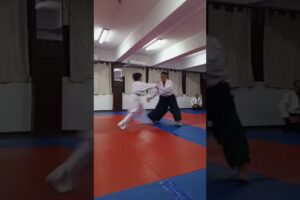 Jiyuwaza training with Kyu grade students