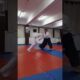 Jiyuwaza training with Kyu grade students