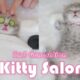 Kitty Salon 【2nd Generation】- Super cute kitten baby cat having SPA treatment full service