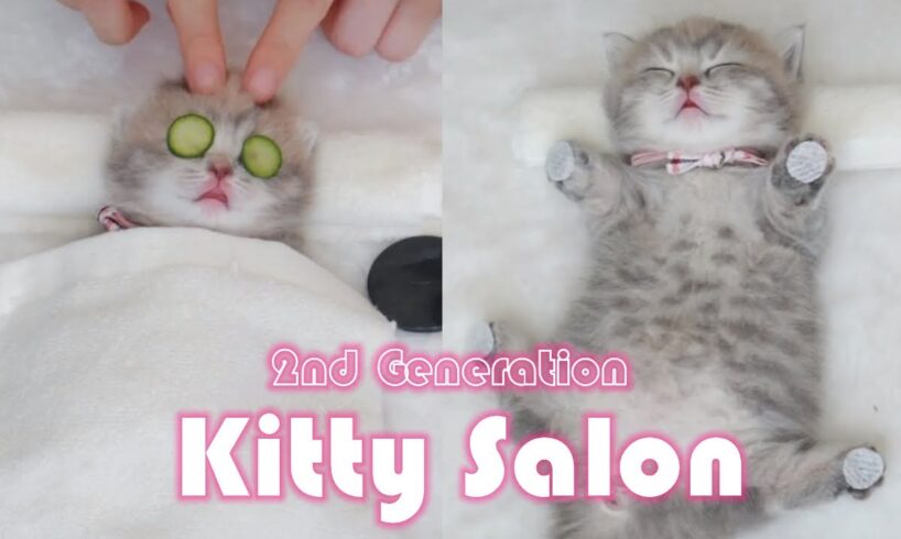 Kitty Salon 【2nd Generation】- Super cute kitten baby cat having SPA treatment full service