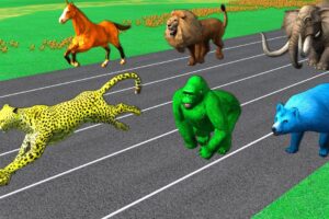 Learn Wild Animals Running Race Video For Kids - Learn Animals Names & Sounds For Children Toddlers