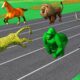 Learn Wild Animals Running Race Video For Kids - Learn Animals Names & Sounds For Children Toddlers