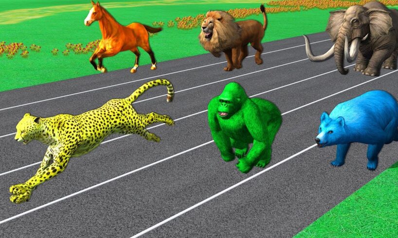 Learn Wild Animals Running Race Video For Kids - Learn Animals Names & Sounds For Children Toddlers