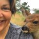 Lone baby deer asked a family for help. Their response might surprise you.