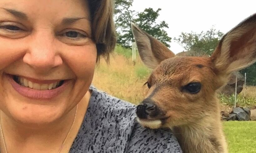 Lone baby deer asked a family for help. Their response might surprise you.