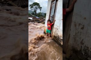 MIRACLE RESCUE! Dog Saves Child from Thunderstorm ,Hero Dog Rescues Child Stranded in Thunderstorm