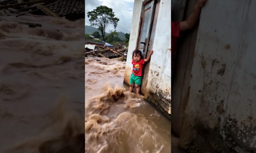 MIRACLE RESCUE! Dog Saves Child from Thunderstorm ,Hero Dog Rescues Child Stranded in Thunderstorm