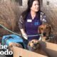 Mama Dog Left Outside Shelter Tied To Her Babies | The Dodo