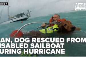 Man, dog rescued from boat by Coast Guard during Hurricane Helene