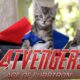 Marvel's Avengers: Age of Ultron (Cute Kitten Version)