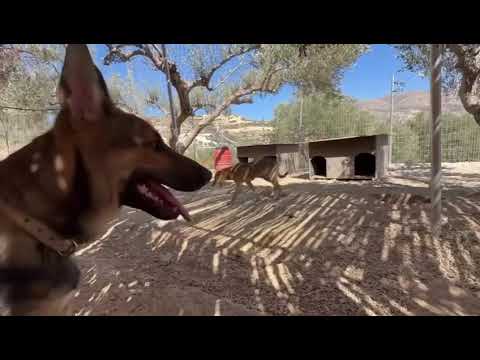 Melina is helping Max the Newcomer to feel Better- Takis Shelter