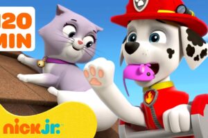 PAW Patrol Baby Animals Rescues & Adventures! w/ Marshall #3 🐱 2 Hours | Nick Jr.