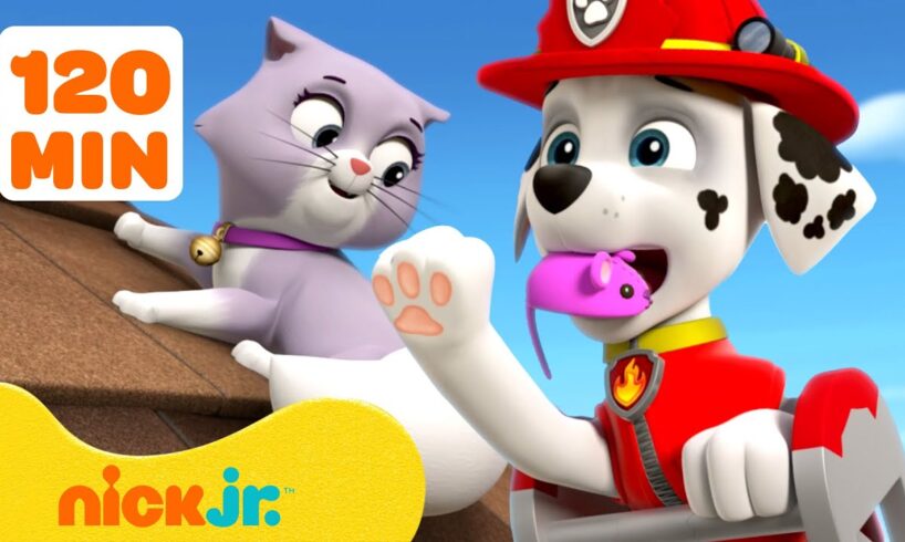 PAW Patrol Baby Animals Rescues & Adventures! w/ Marshall #3 🐱 2 Hours | Nick Jr.